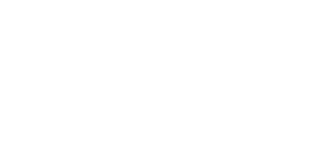 Narpes logo horizontal FI SV VITT